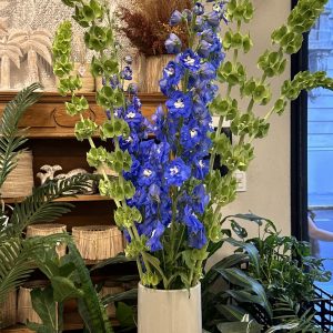 Delphiniums en florero "Mar Azul"